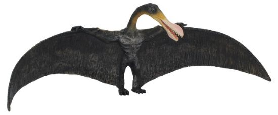 Obrázek z Ornithocheirus  velký pterosaurus 