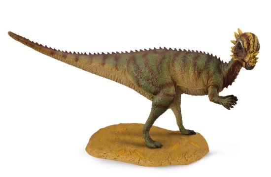 Obrázek z Pachycephalosaurus dinosaurus 