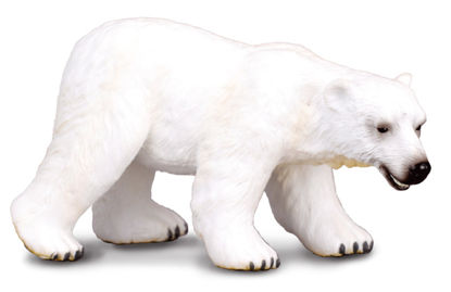 Obrázek Medvěd lední