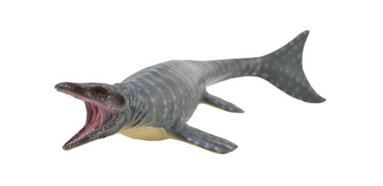 Obrázek z Mosasaurus  