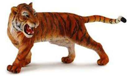 Obrázek Tygr sibiřský