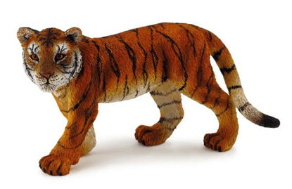 Obrázek Tygr mládě stojící