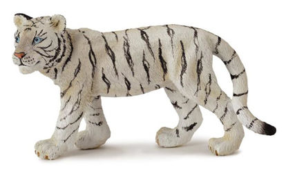 Obrázek Tygr bílý mládě stojící