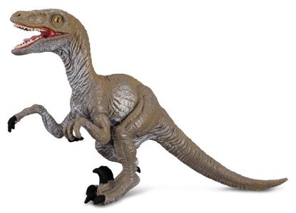 Obrázek Velociraptor dinosaurus
