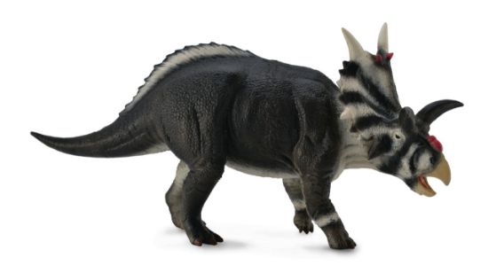 Obrázek z Xenoceratops dinosaurs 