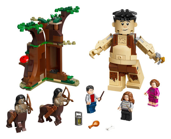 Obrázek z LEGO Harry Potter 75967 Zapovězený les: Setkání Drápa a profesorky Umbridgeové 