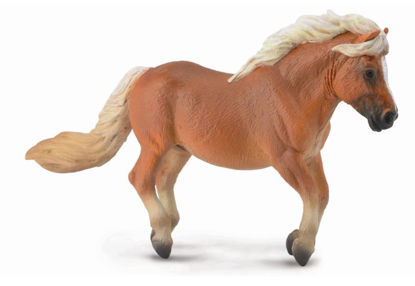 Obrázek Shetlandský pony - ryzák