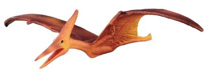 Obrázek Pteranodon ptakoještě
