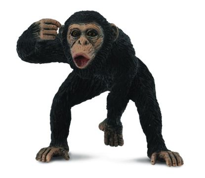 Obrázek Šimpanz figurka