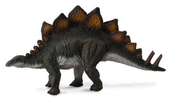 Obrázek z Stegosaurus dinosaurus 