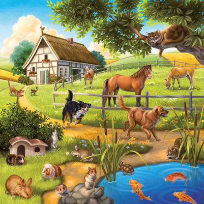 Obrázek Puzzle Domácí zvířata 3 x 49d