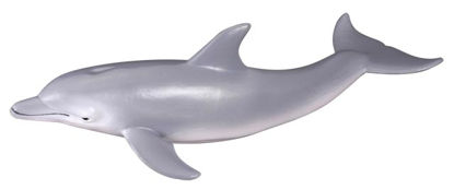 Obrázek Delfín
