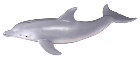 Obrázek z Delfín 