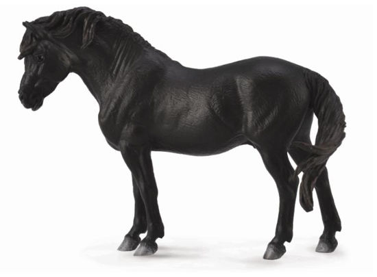 Obrázek z Dartmoorský pony - černý 