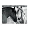 Obrázek z Puzzle Černobílí koně 1000D 