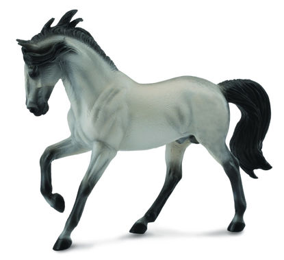Obrázek Andaluský kůň - šedivý
