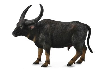 Obrázek Arni - divoký buvol indický