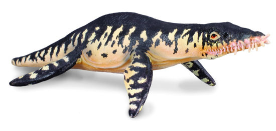 Obrázek z Liopleurodon 