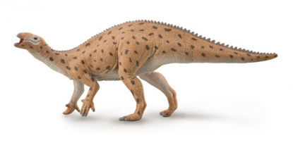 Obrázek Fukuisaurus