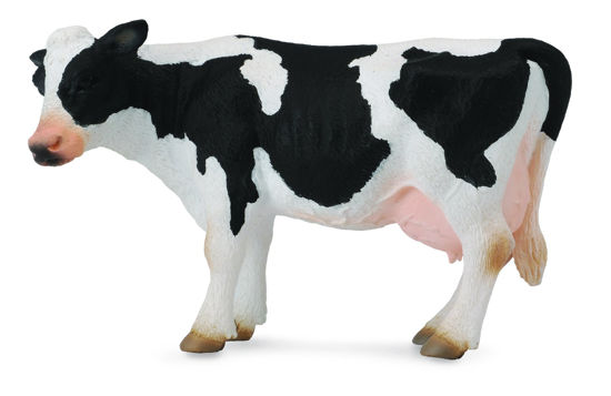 Obrázek z Fríská kráva 