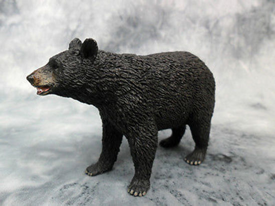 Obrázek z Medvěd americký černý 