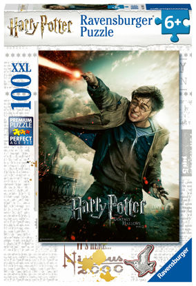 Obrázek Puzzle Harry Potter 100 XXL dílků