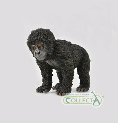 Obrázek Gorila horská mládě