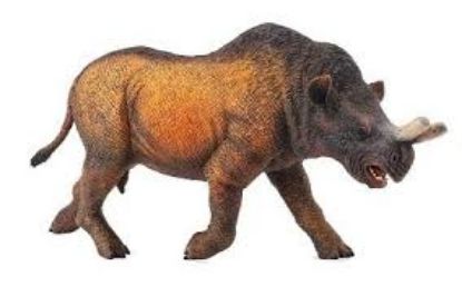 Obrázek Megacerops