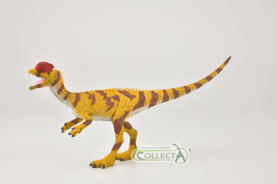Obrázek z Dilophosaurus 