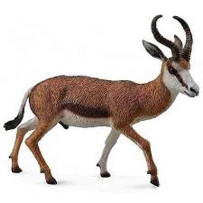 Obrázek Antilopa skákavá