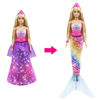 Obrázek z Barbie PRINC nebo PRINCEZNA 